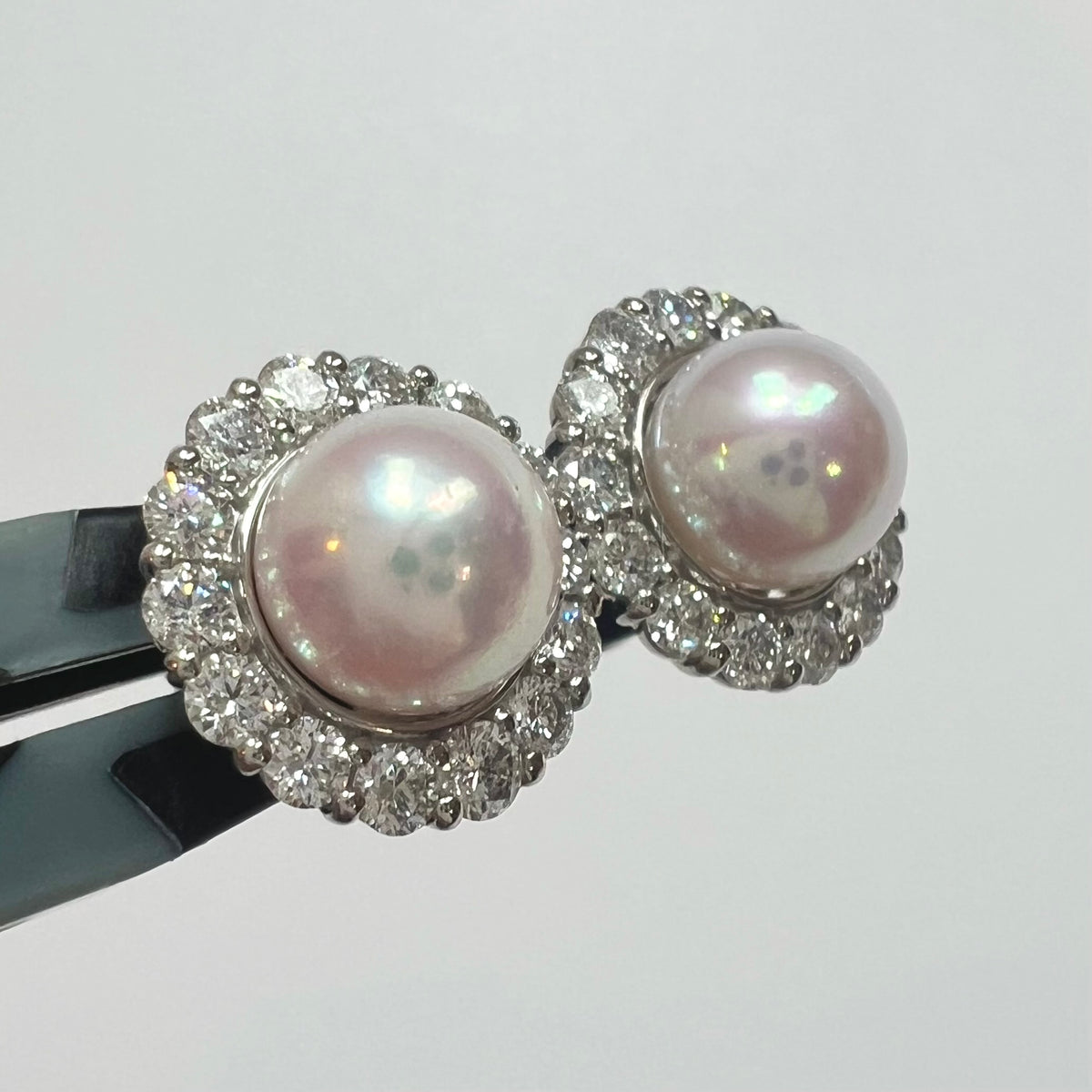 【アコヤ7〜7.5mm】テリテリピアス